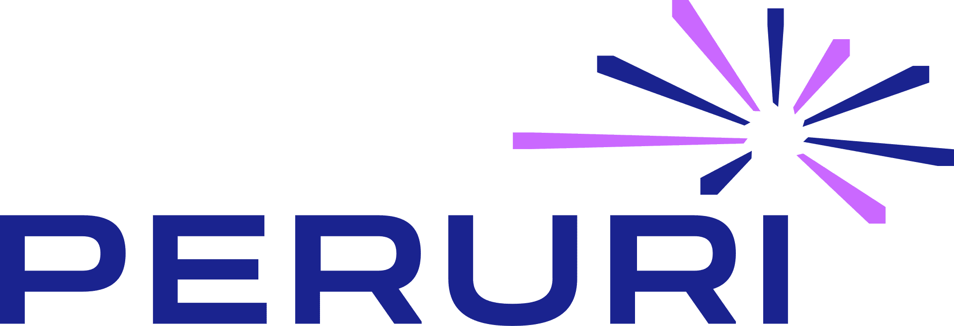 Peruri - Client of PT Salamun Teknologi Indonesia