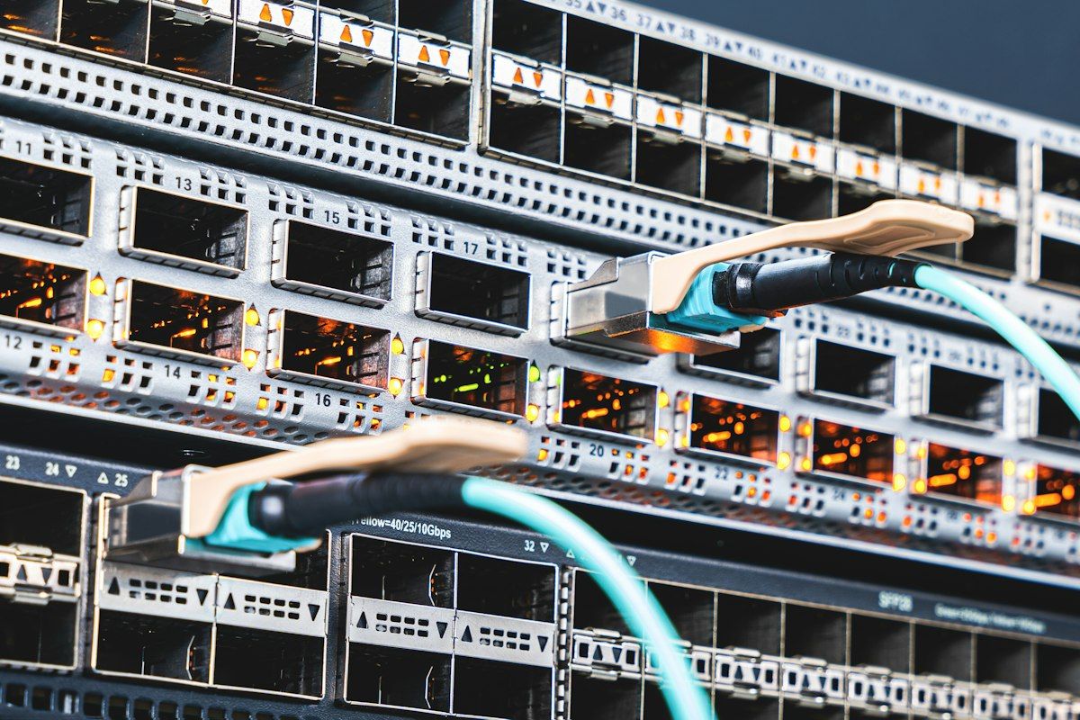 Close-up of network cables plugged into a rack switch